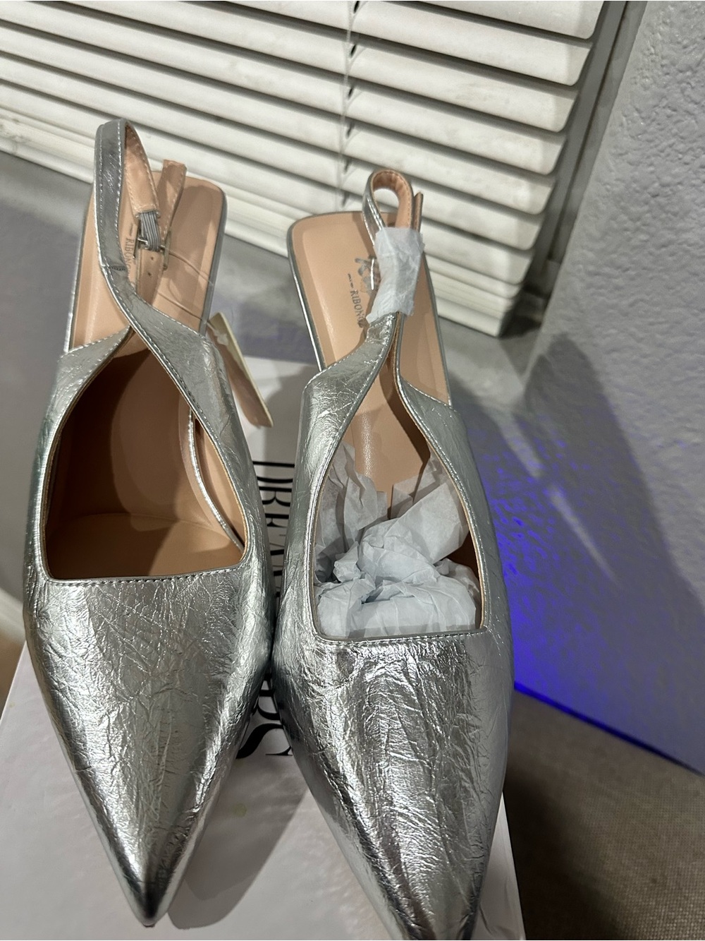 Ribongz Women's Silver Pointed Slingback Heels - Brand Not Visibler